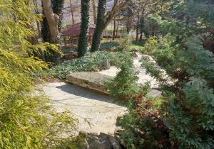 W ogrodzie japońskim jest po prostu bajkowo